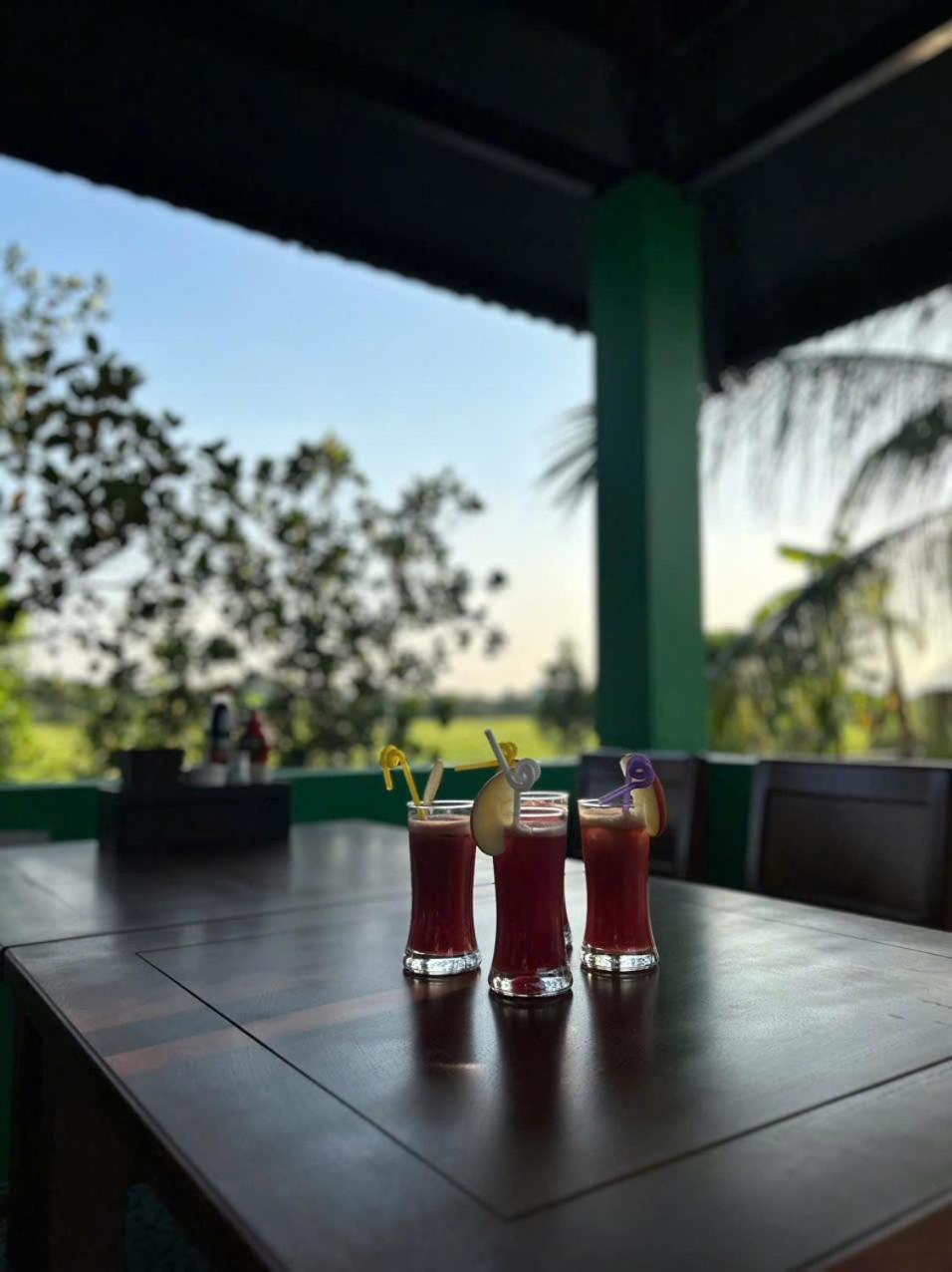 The Green House Homestay Ninh Binh Buitenkant foto